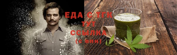 стаф Новозыбков