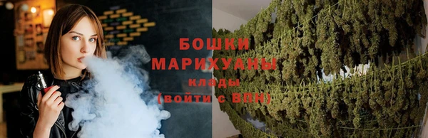 стаф Новозыбков