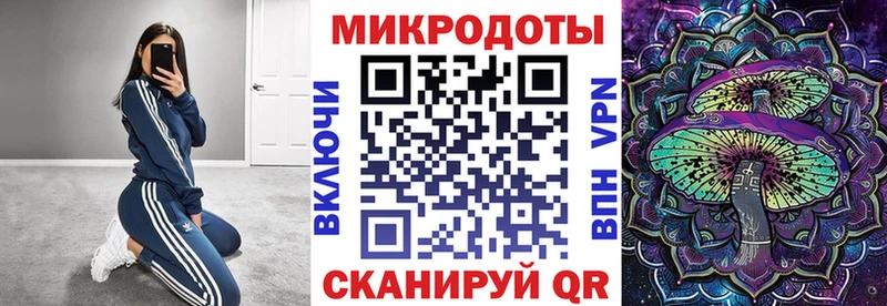 купить  цена  Щучье  Псилоцибиновые грибы Psilocybe 