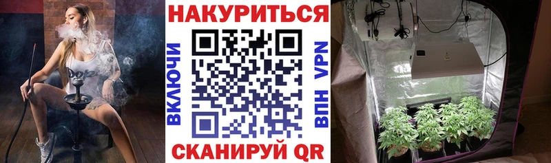 Шишки марихуана гибрид где купить наркоту OMG зеркало Щучье
